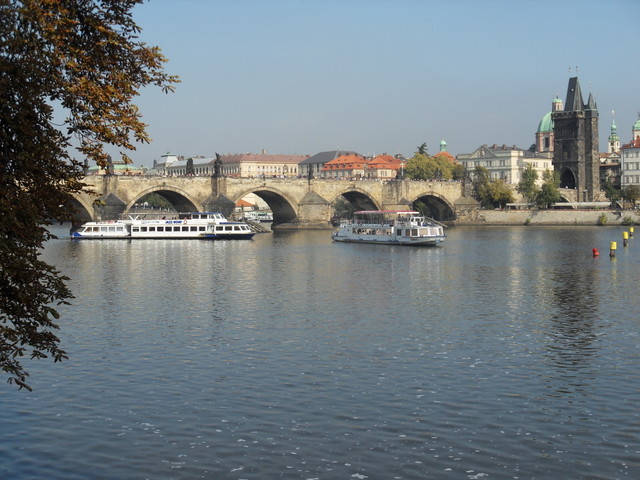  zvtit