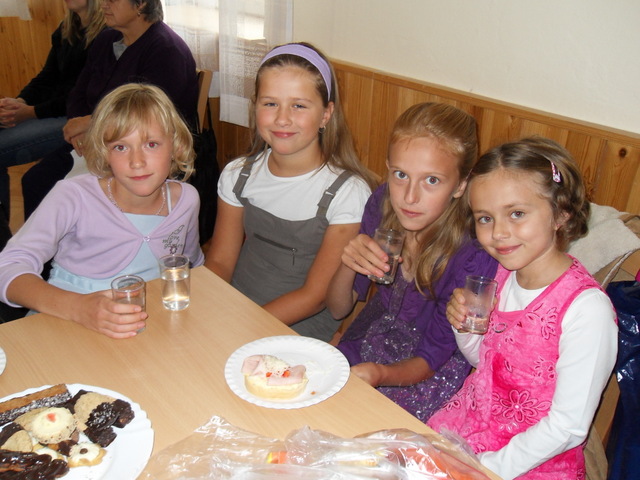  zvtit