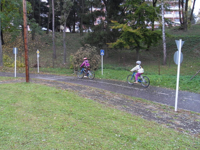  zvtit