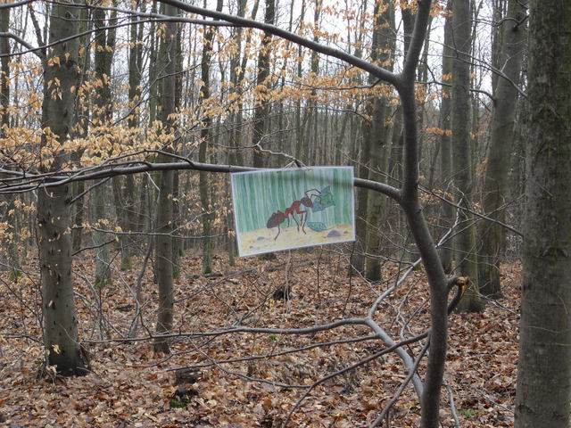  zvtit
