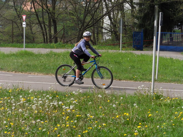  zvtit