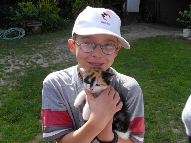  zvtit