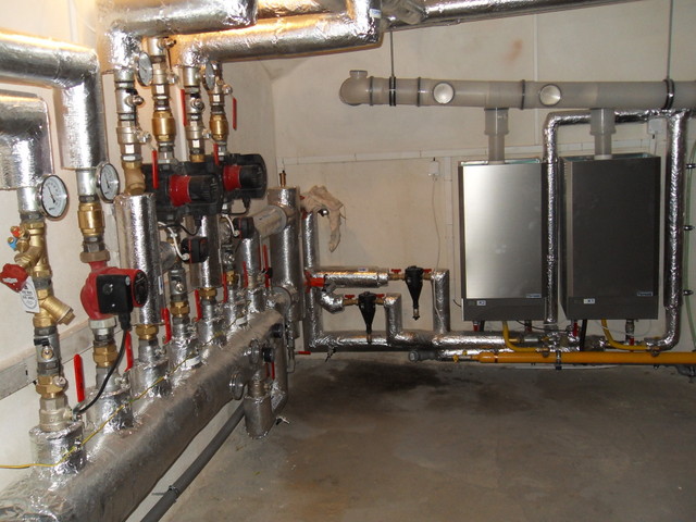 SDC17315.JPG zvtit