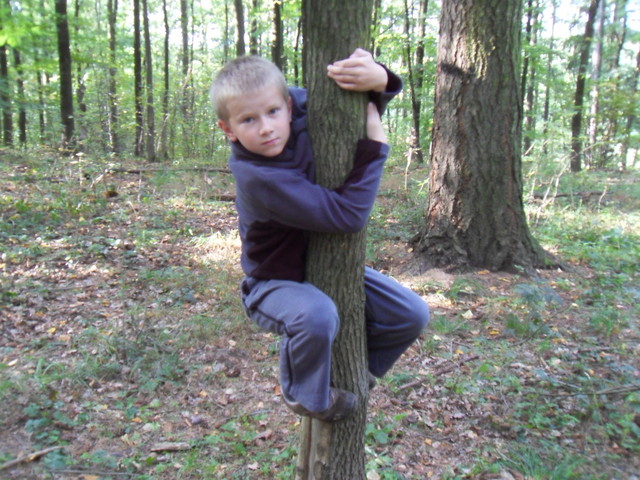  zvtit