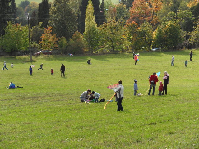  zvtit