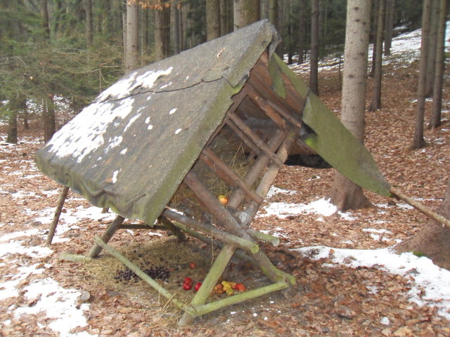  zvtit